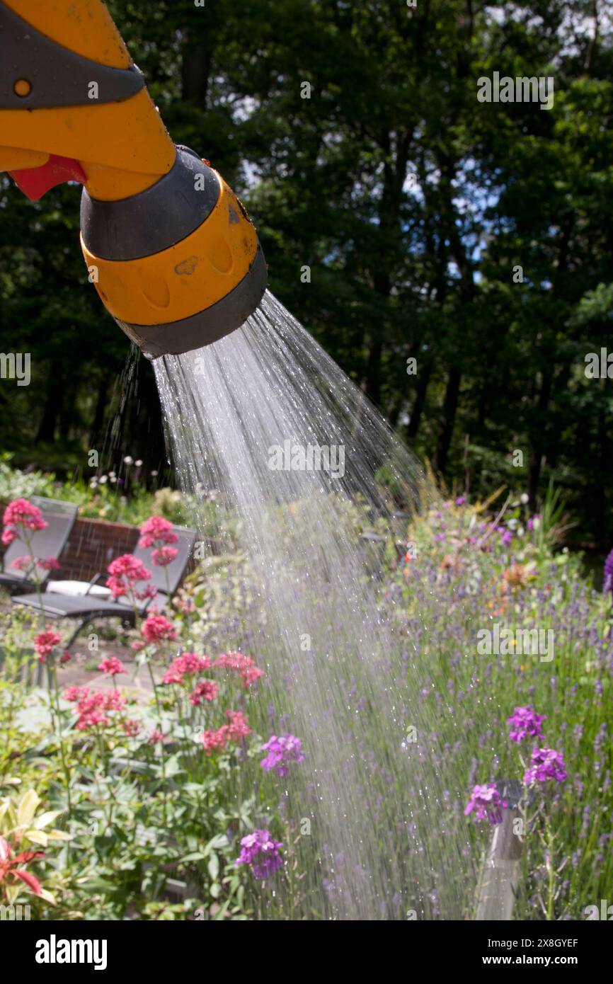 garden hose spraying water on flowers Stock Photo