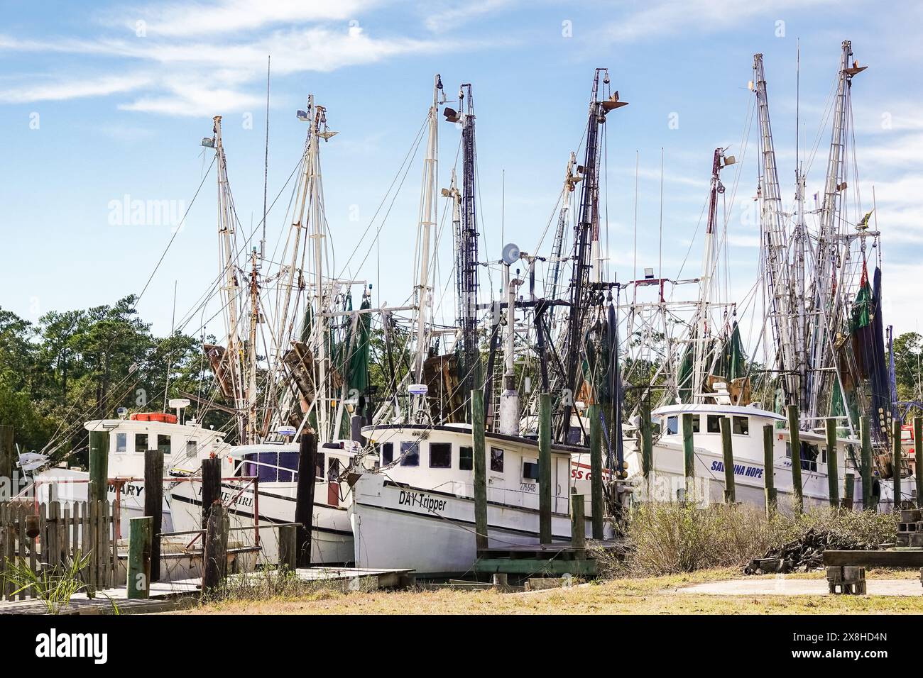 Shrimp trawlers tied up on the docks at Jeremy Creek in the tiny