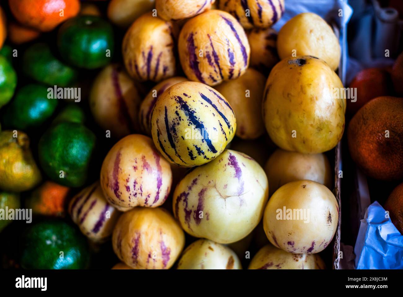 Solanum muricatum Aiton piled up on market stalls in Cusco in Peru in South America Stock Photo