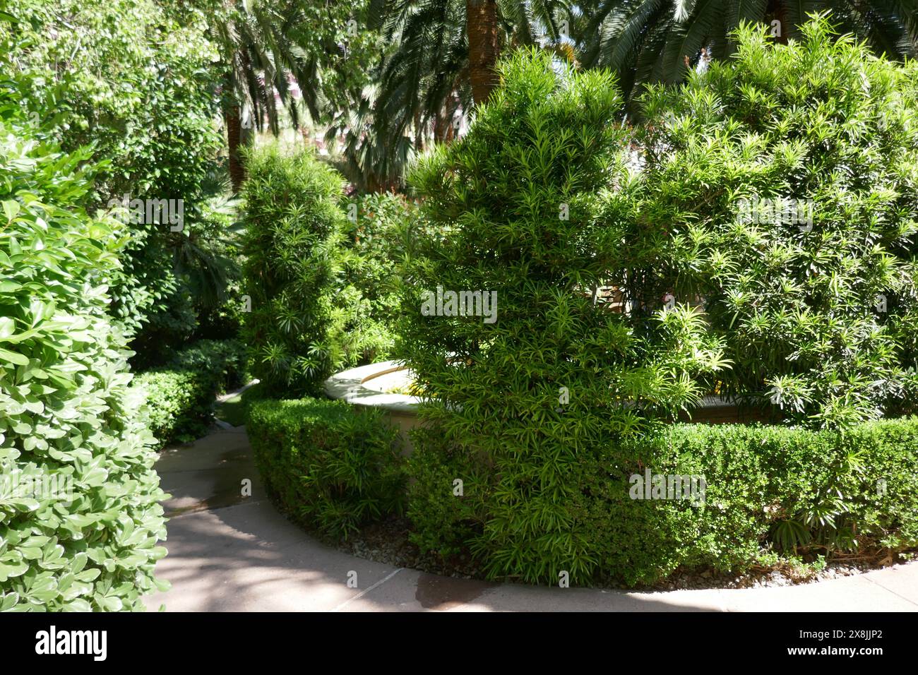 Las Vegas, Nevada, USA 15th May 2024 Benjamin ÒBusyÓ Siegel, Notorious