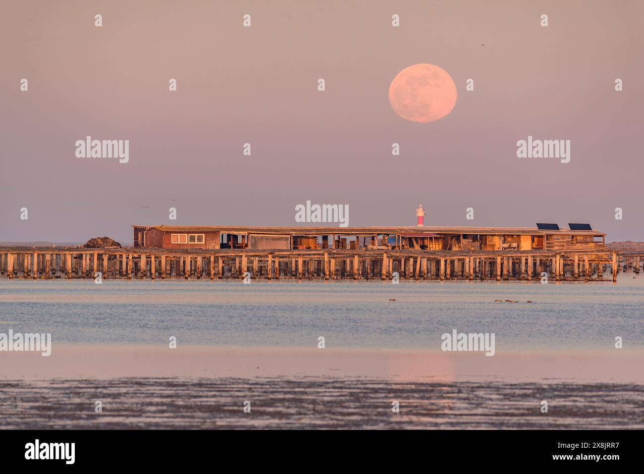 Sunset and moonrise in Fangar Bay and its lighthouse, in the Ebro Delta (Tarragona, Catalonia, Spain) ESP: Atardecer y salida de Luna, bahía Alfaques Stock Photo