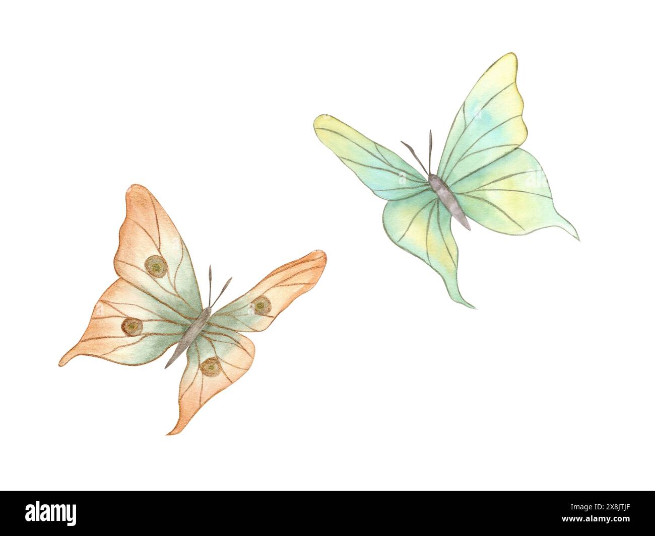 Decorative fluttering butterflies. Butterfly set. Flying peach and blue yellow pastel color insects with gold outline. Watercolor illustration. Stock Photo