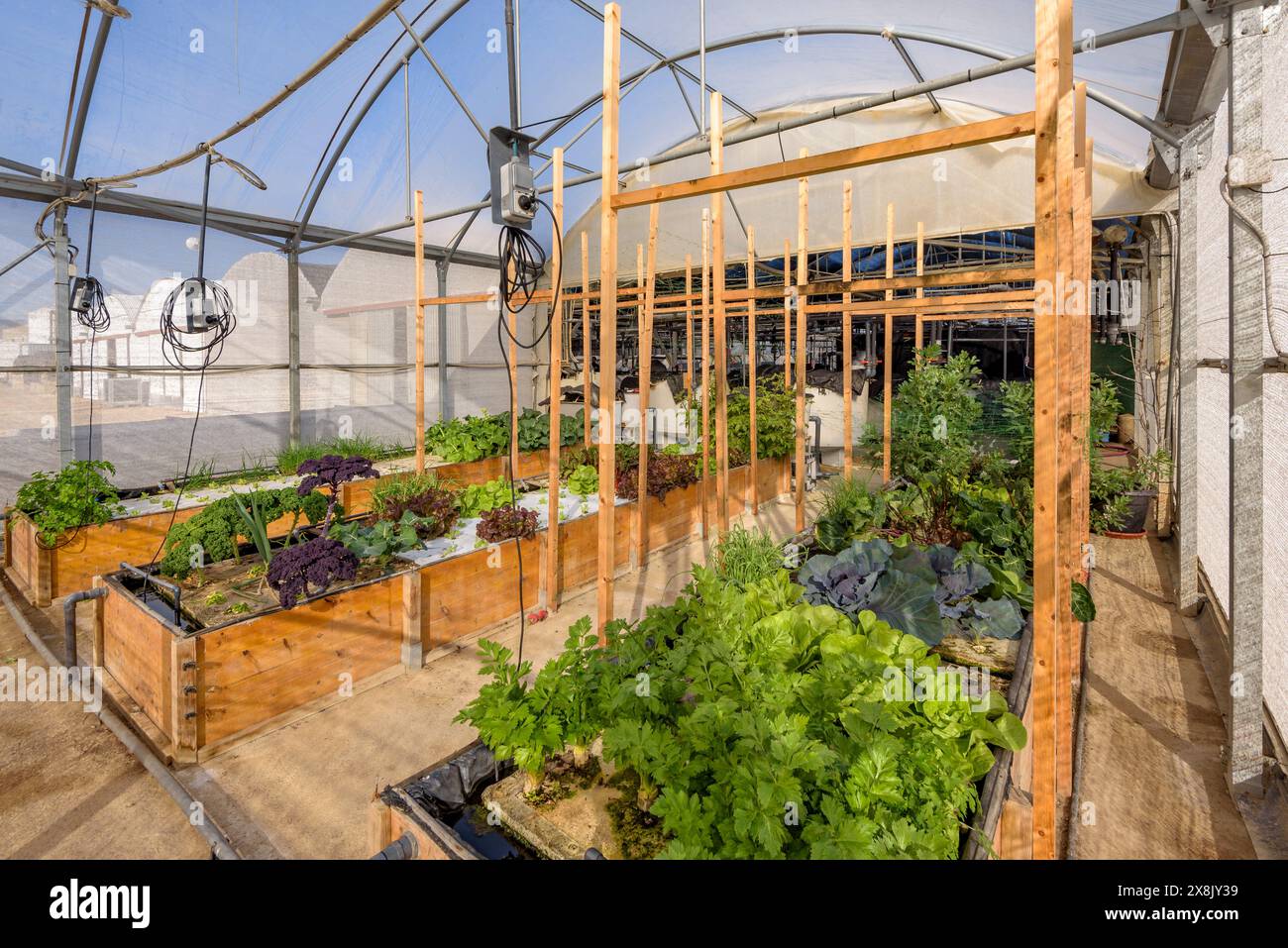 Agricultura de ciencia hi-res stock photography and images - Alamy