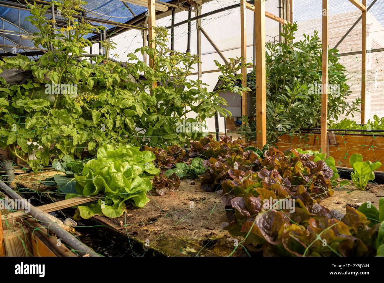 Agricultura de ciencia hi-res stock photography and images - Alamy