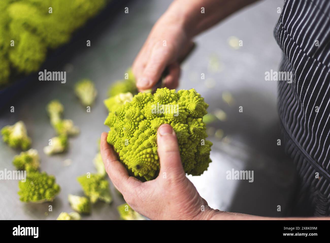 Close-up of hands holding a fresh romanesco broccoli, with vibrant green patterns Stock Photo