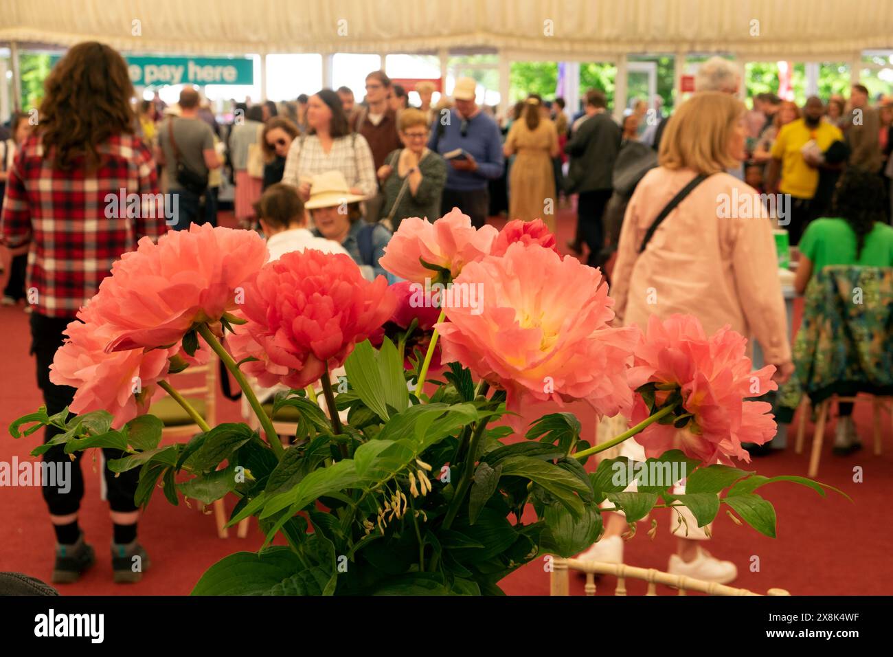 Pink peonies peony flowers in vase inside book shop interior and crowd