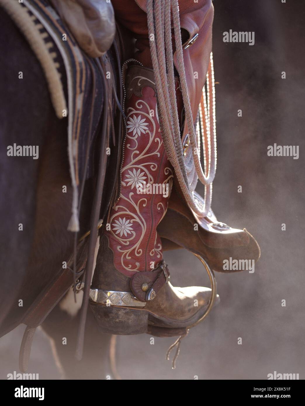 Boot with spur hi res stock photography and images Alamy