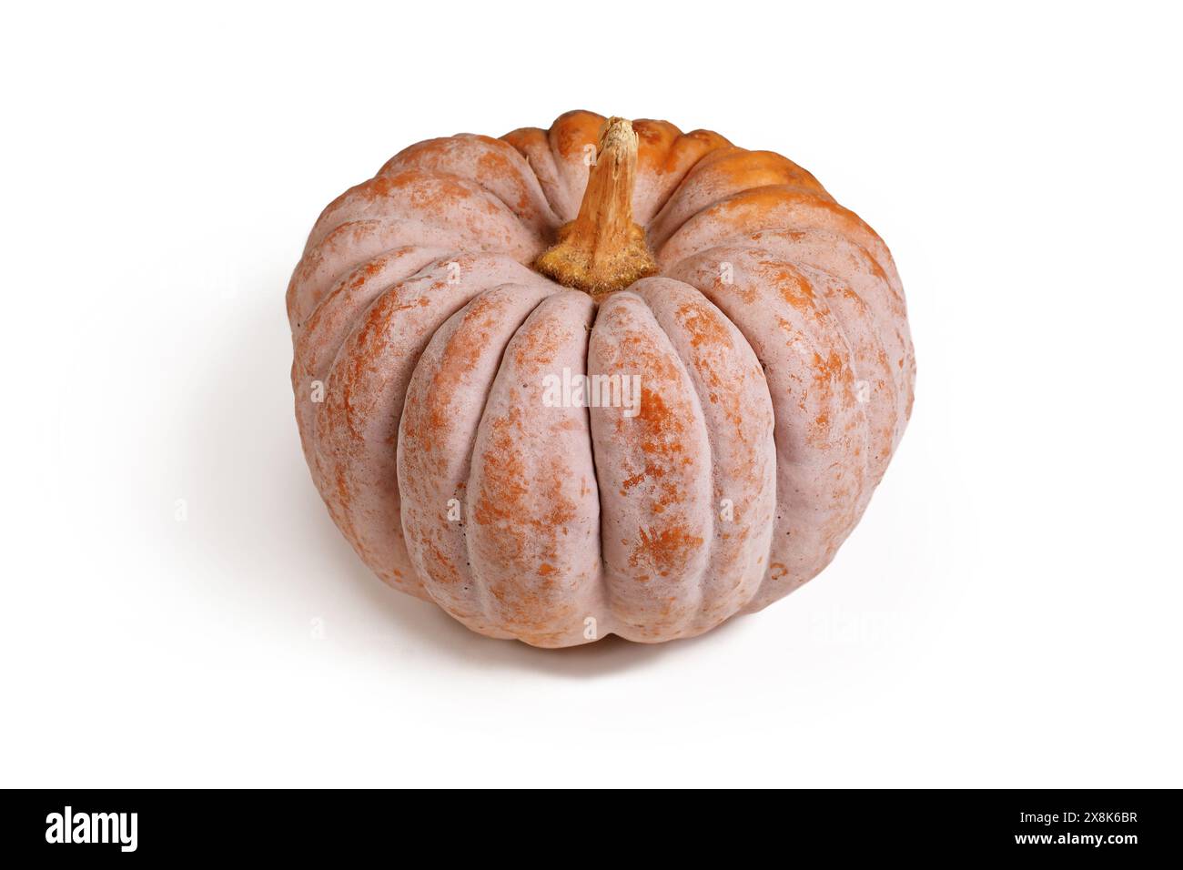 Orange mature ribbed 'Black Futsu' pumpkin squash on white background Stock Photo