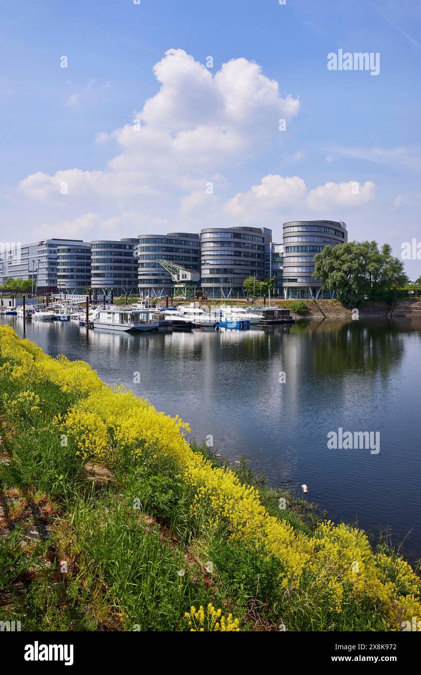 Five Boats office building by architect Sir Nicholas Grimshaw & Partners and the marina in the inner harbour of Duisburg, Ruhr district, independent Stock Photo