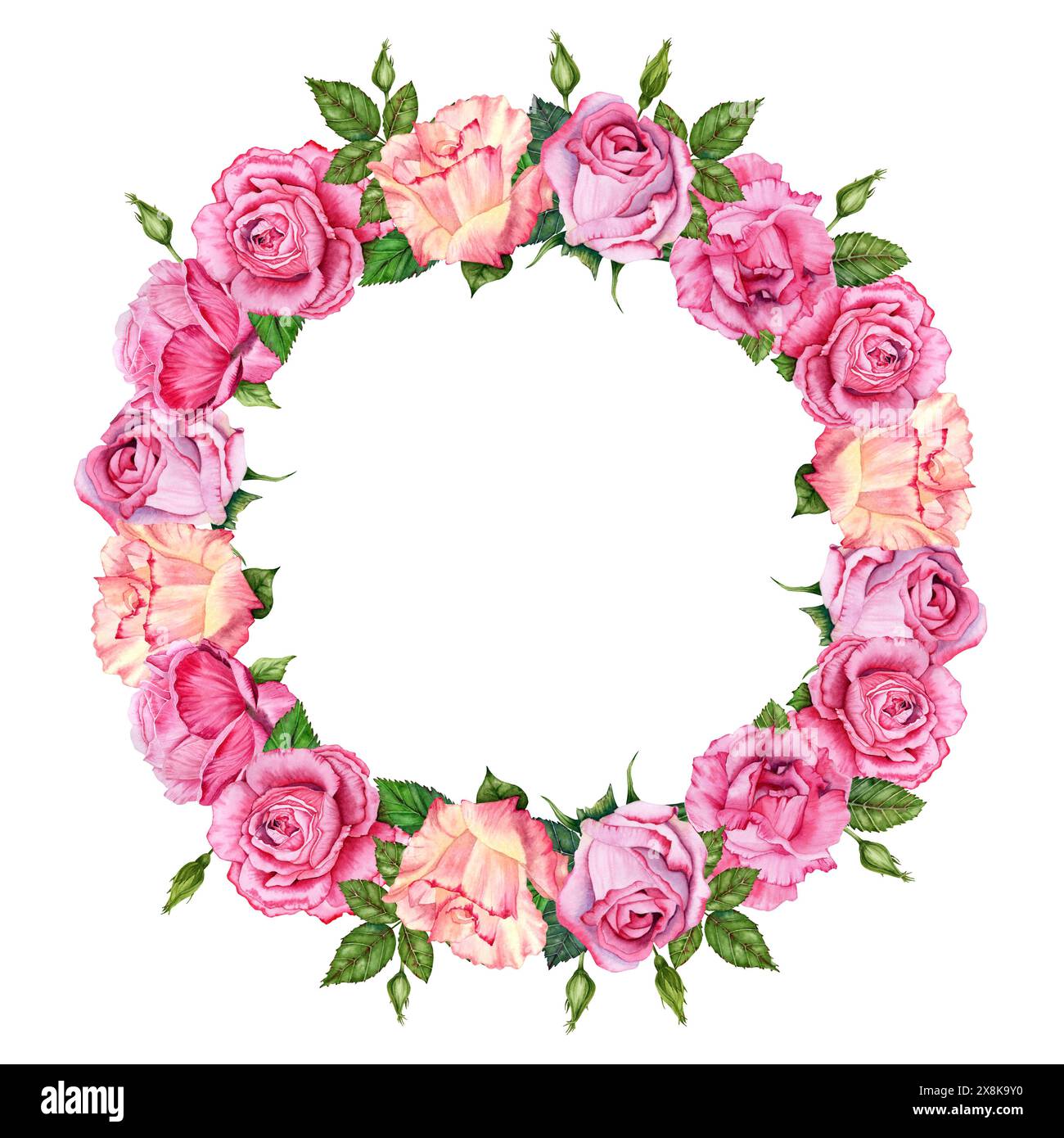 Pink roses wreath composition. Flowers with leaves round copy space frame. Hand drawn watercolor illustration isolated on white background. Floral Stock Photo