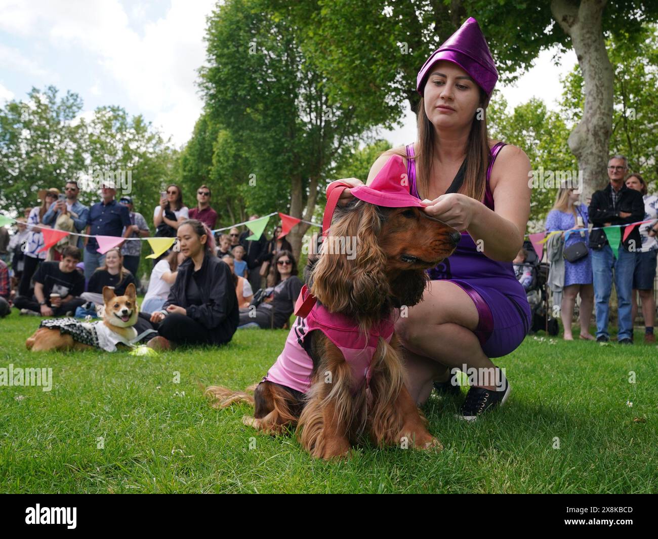 Karolina Madej adds the finishing touches to her cocker spaniel named ...