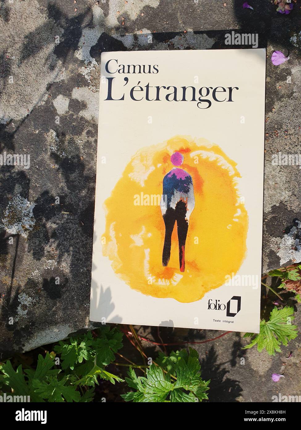 L etranger book by albert camus the outsider in a herb garden with