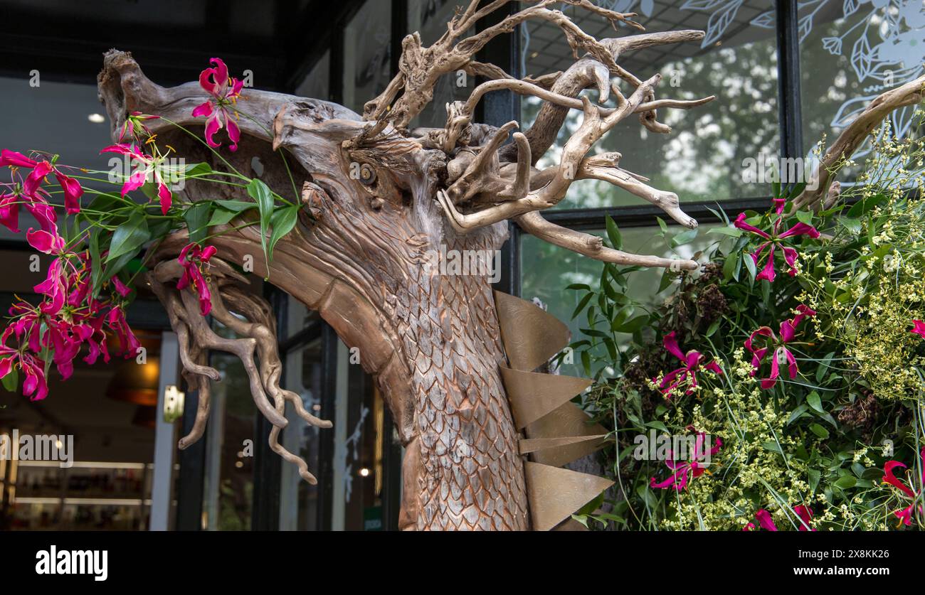 Beautiful twisted tree trunk sculpture of a Dragon with pink flowers in the mouth for fire at Chelsea in bloom 2024 outside a shop entrance. Stock Photo