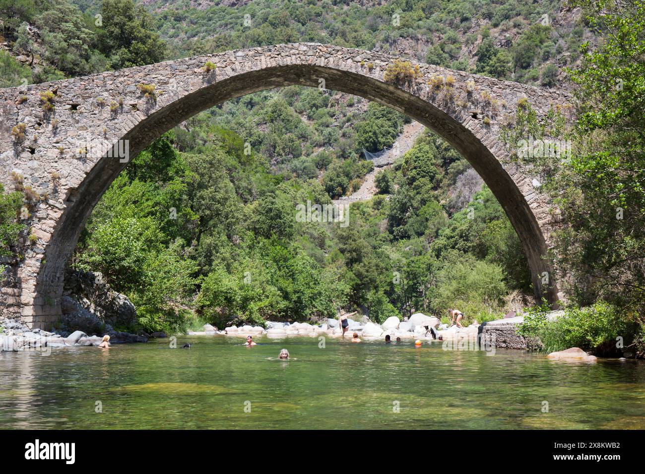 Ota, Corse-du-Sud, Corsica, France. Visitors bathing in the Porto River beneath the historic Pont de Pianella, a 15th century Genoese stone bridge. Stock Photo