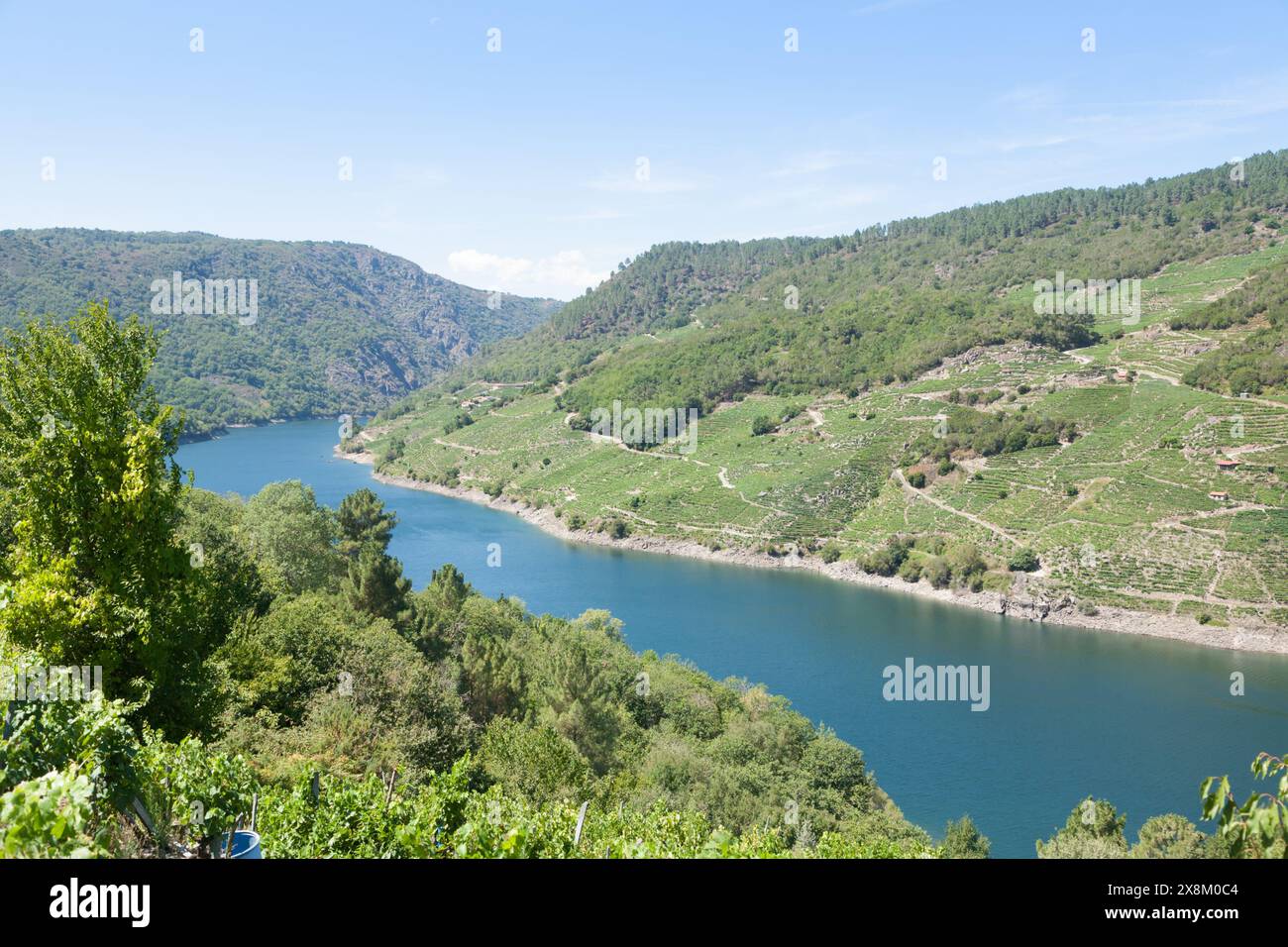 Vineyards landscape from Ribeira Sacra wine area, Galicia, Spain. Heroic viticulture Stock Photo