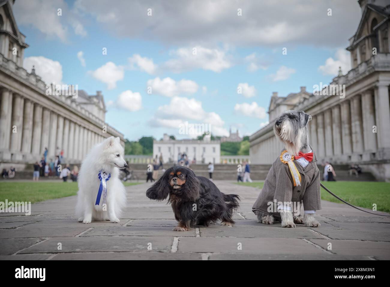 Nathaniel S Granwich Puppy Feast photo