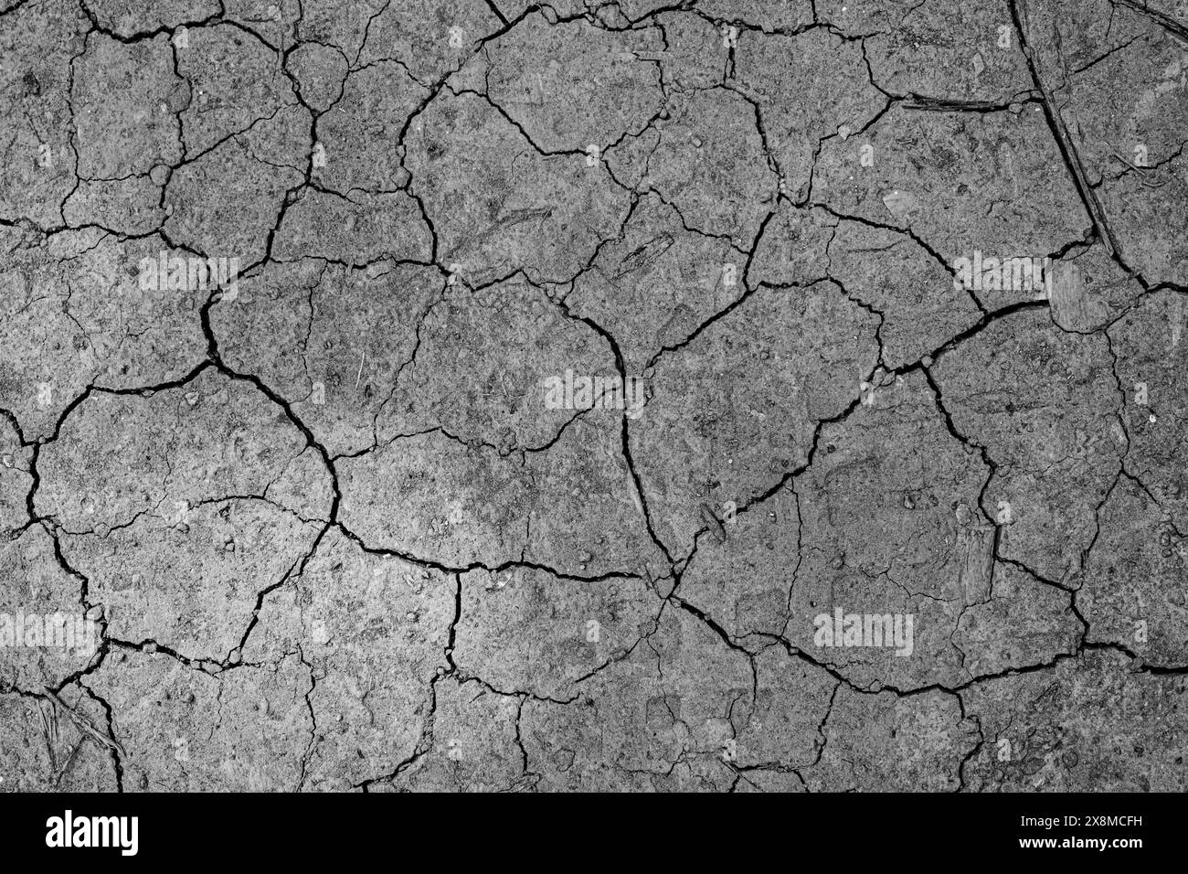 Cracked soil Black and White Stock Photos & Images - Alamy