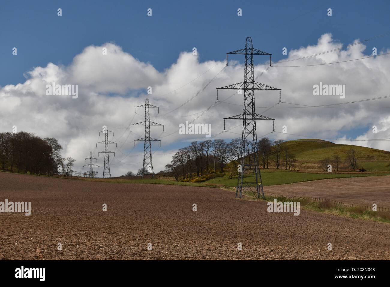 Pylons carry the SSEN 275 kV overhead line across fields between Castle