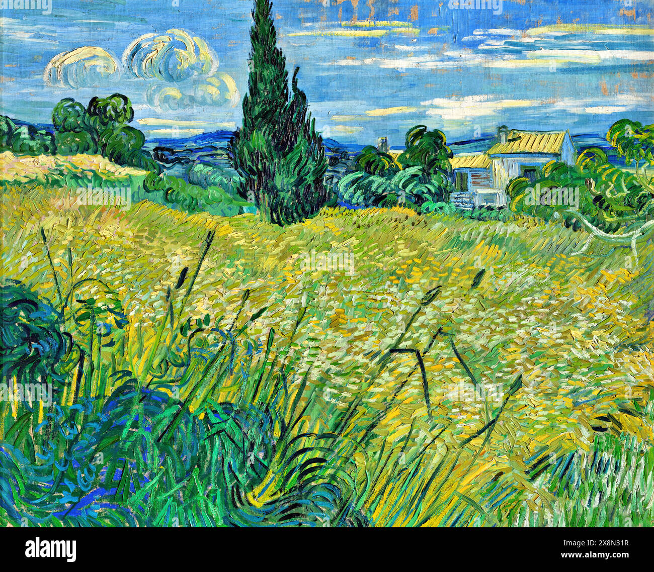 Green Wheat Field with Cypress, 1889 (Painting) Artist Gogh, Vincent van (1853-90) Dutch. Stock Vector