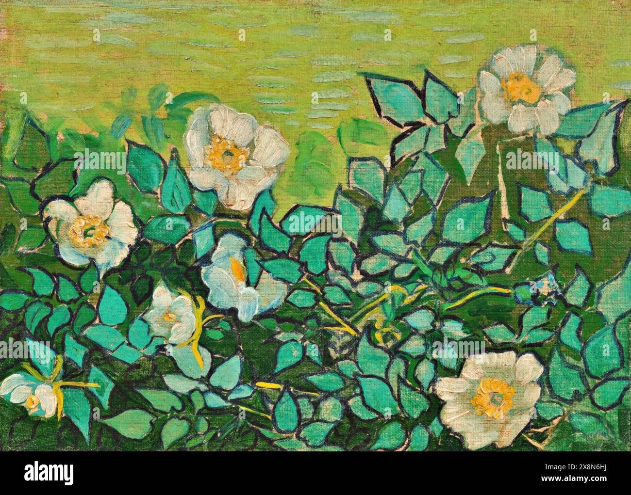 Wild Roses, 1889 (Painting) Artist Gogh, Vincent van (1853-90) Dutch. Stock Vector