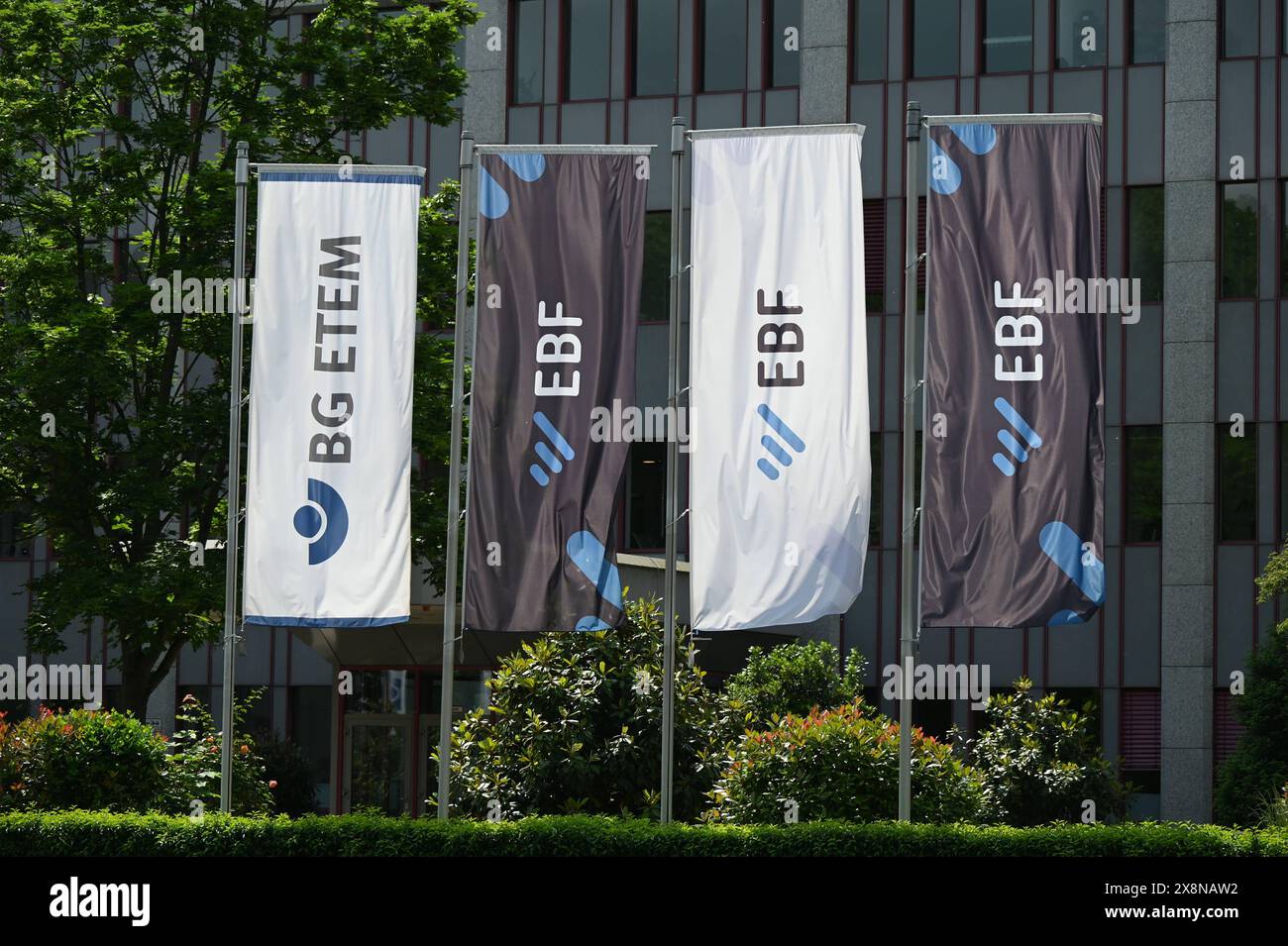berufsgenossenschaft energie textil elektro medienerzeugnisse