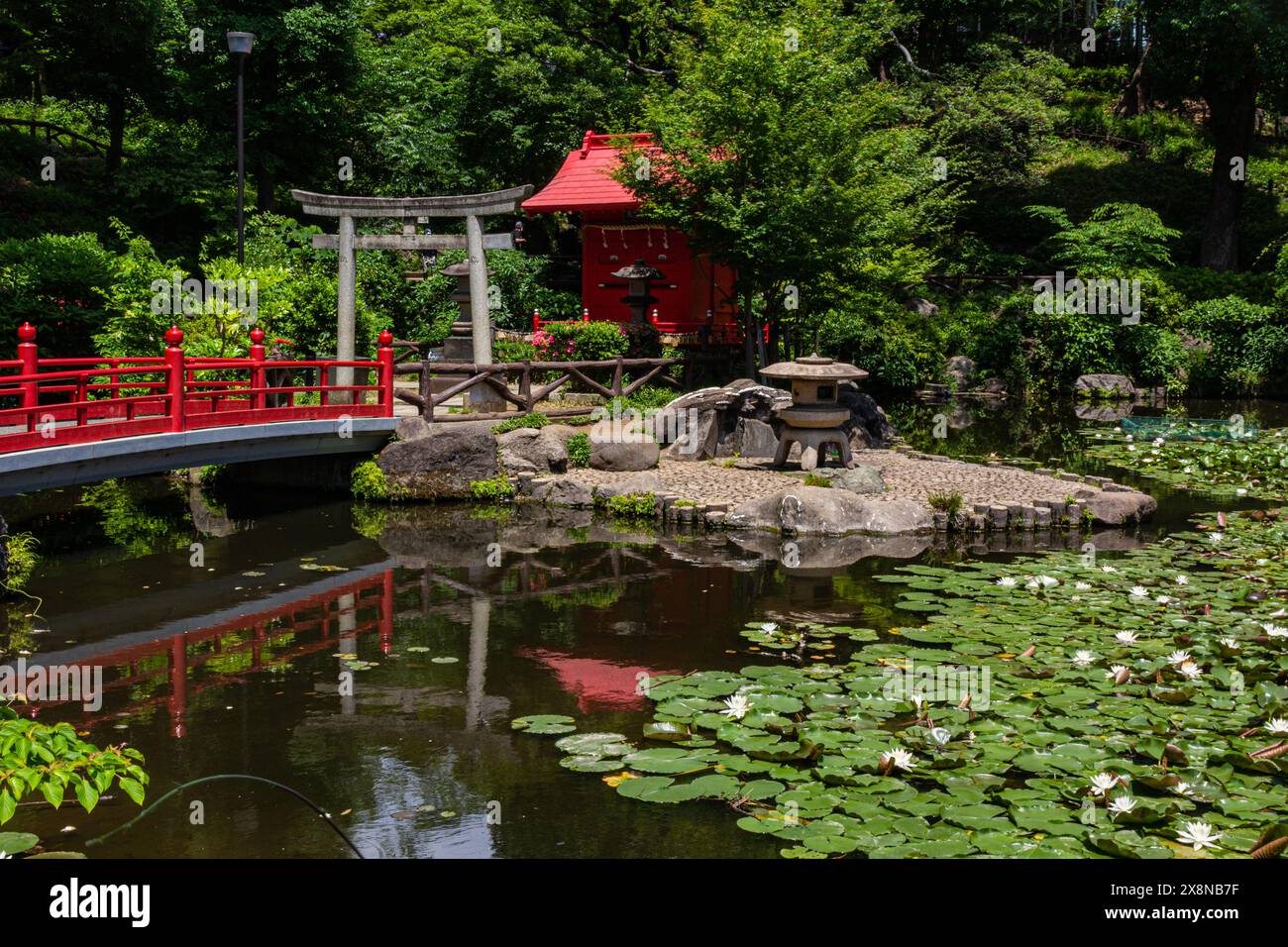 Sudo Park rises like an amphitheater around a central pond and shrine to Benzaiten, the goddess of love, water, fortune, music and poetry.  Sudo Park Stock Photo