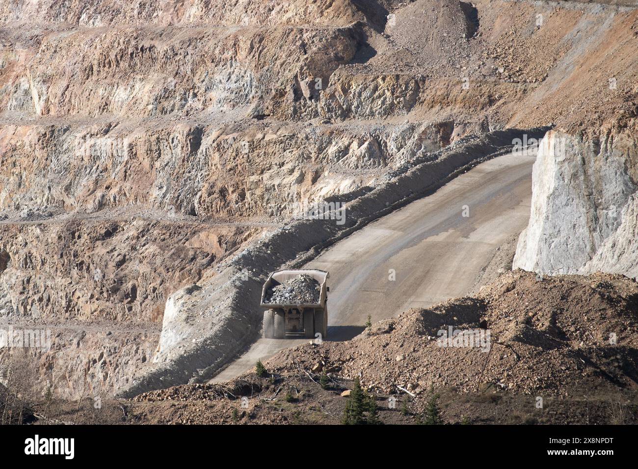 Huge ore trucks haul gold ore from the open pit mine to processing at ...