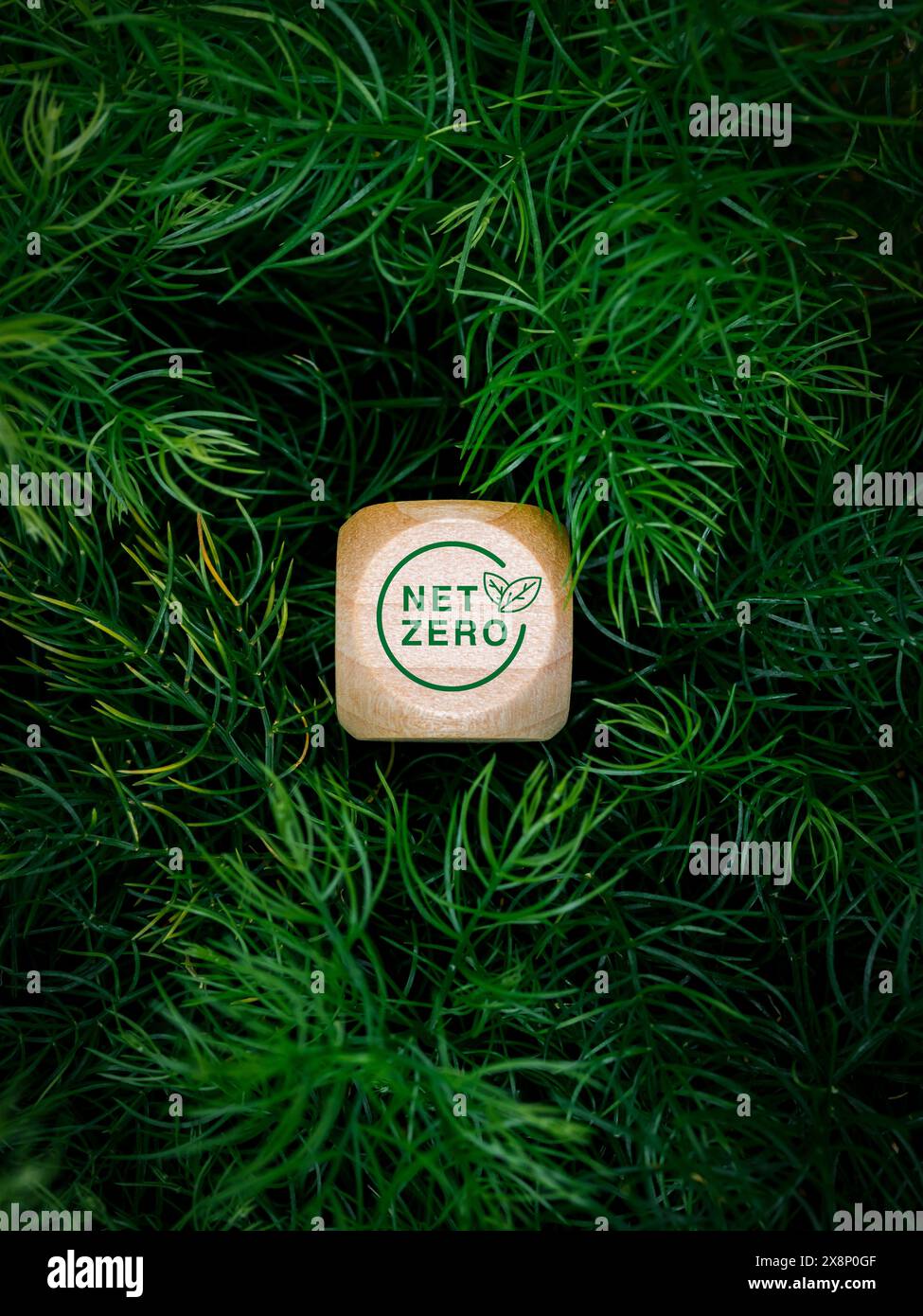 Reduce CO2 emissions, limit climate change, global warming, net zero ...