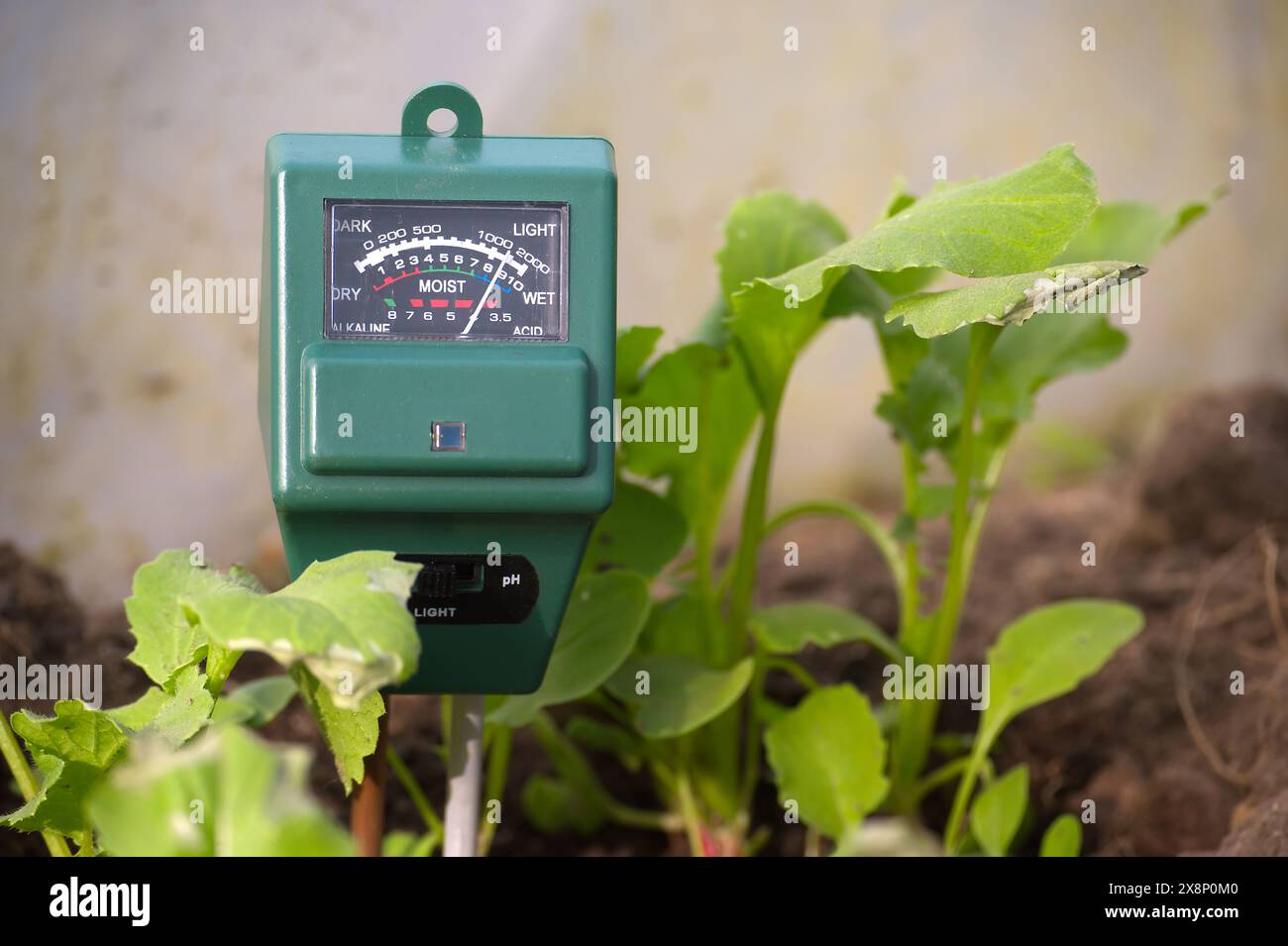 Green plants and three way meter PH, light and moisture in the soil ...