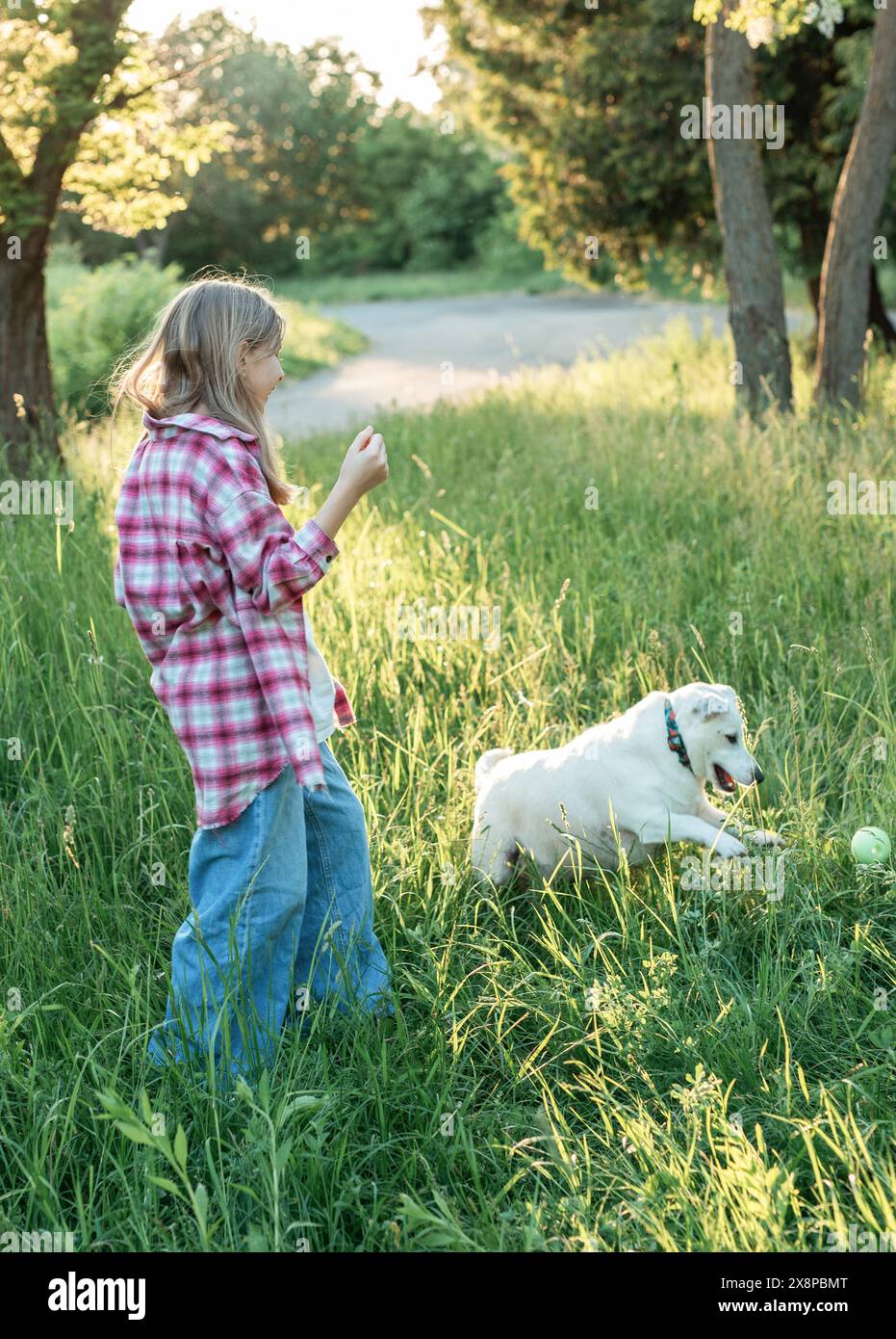 A child with a dog in nature, girl playing with a dog on green grass ...