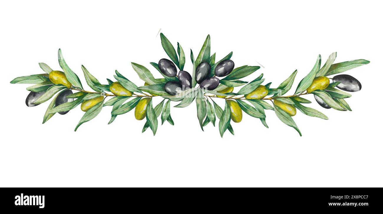 Garland. Watercolor Olive Twigs with Fruits and Leaves. Black and Green ...