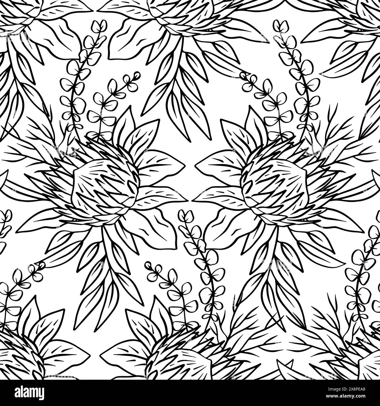 Black and white seamless pattern with line art protea flowers Stock ...