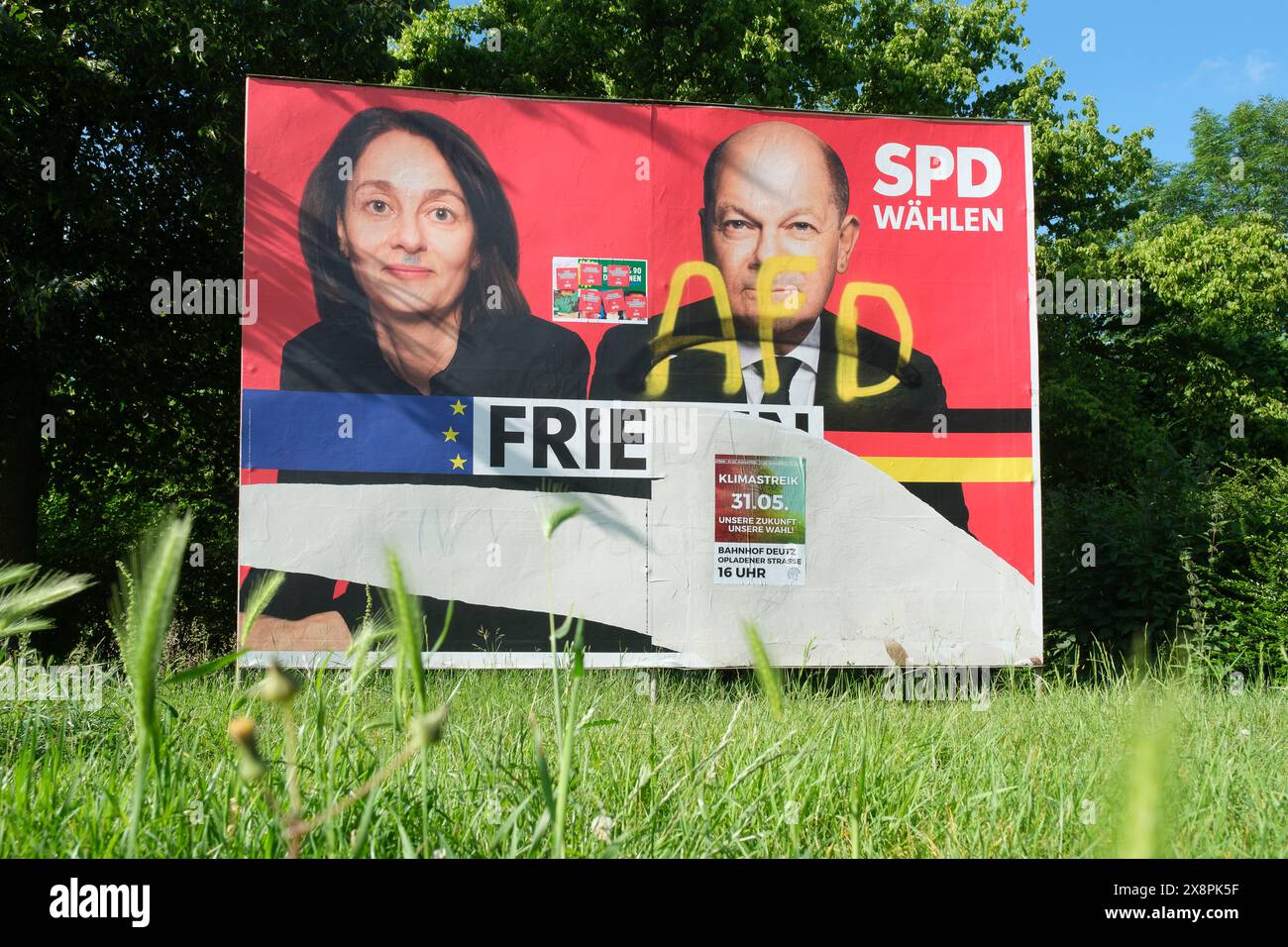 Damaged SPD election poster with AFD lettering and portraits of Olaf ...