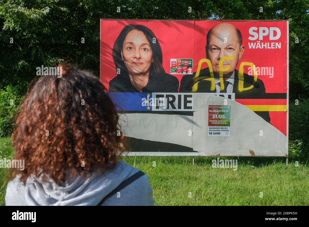 Damaged SPD election poster with AFD lettering and portraits of Olaf ...