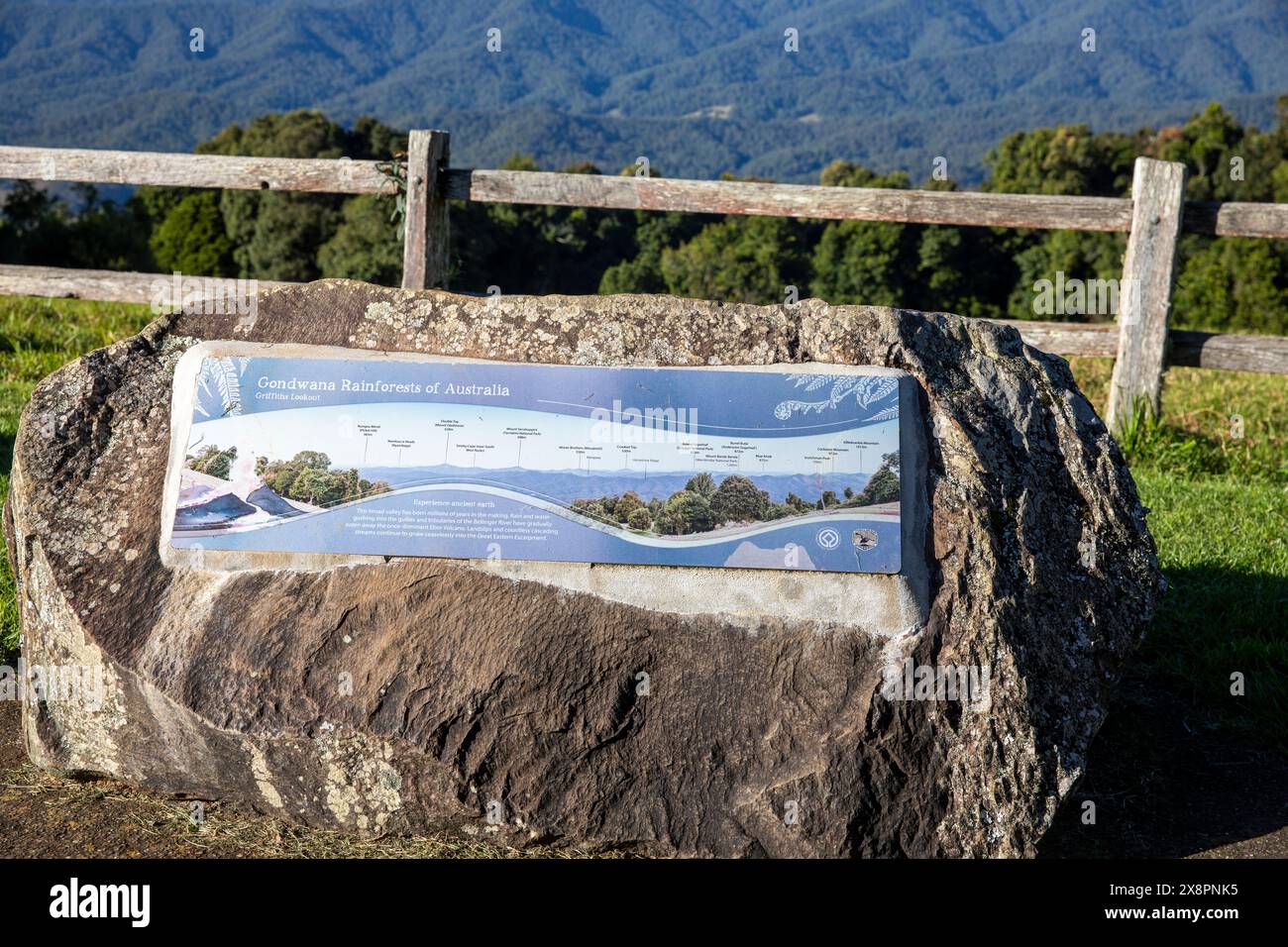 Dorrigo , northern tablelands of NSW, spectacular views of the Gondwana rainforests from Griffiths lookout on mountain top road, Australia Stock Photo