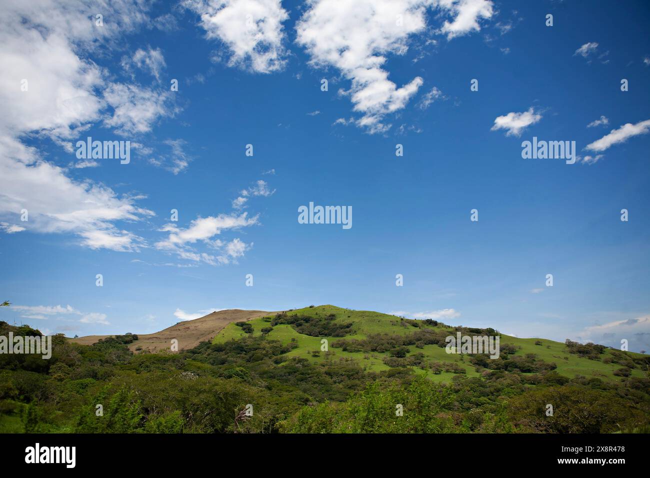 Lush green hills under a blue sky with clouds in Costa Rica Stock Photo ...