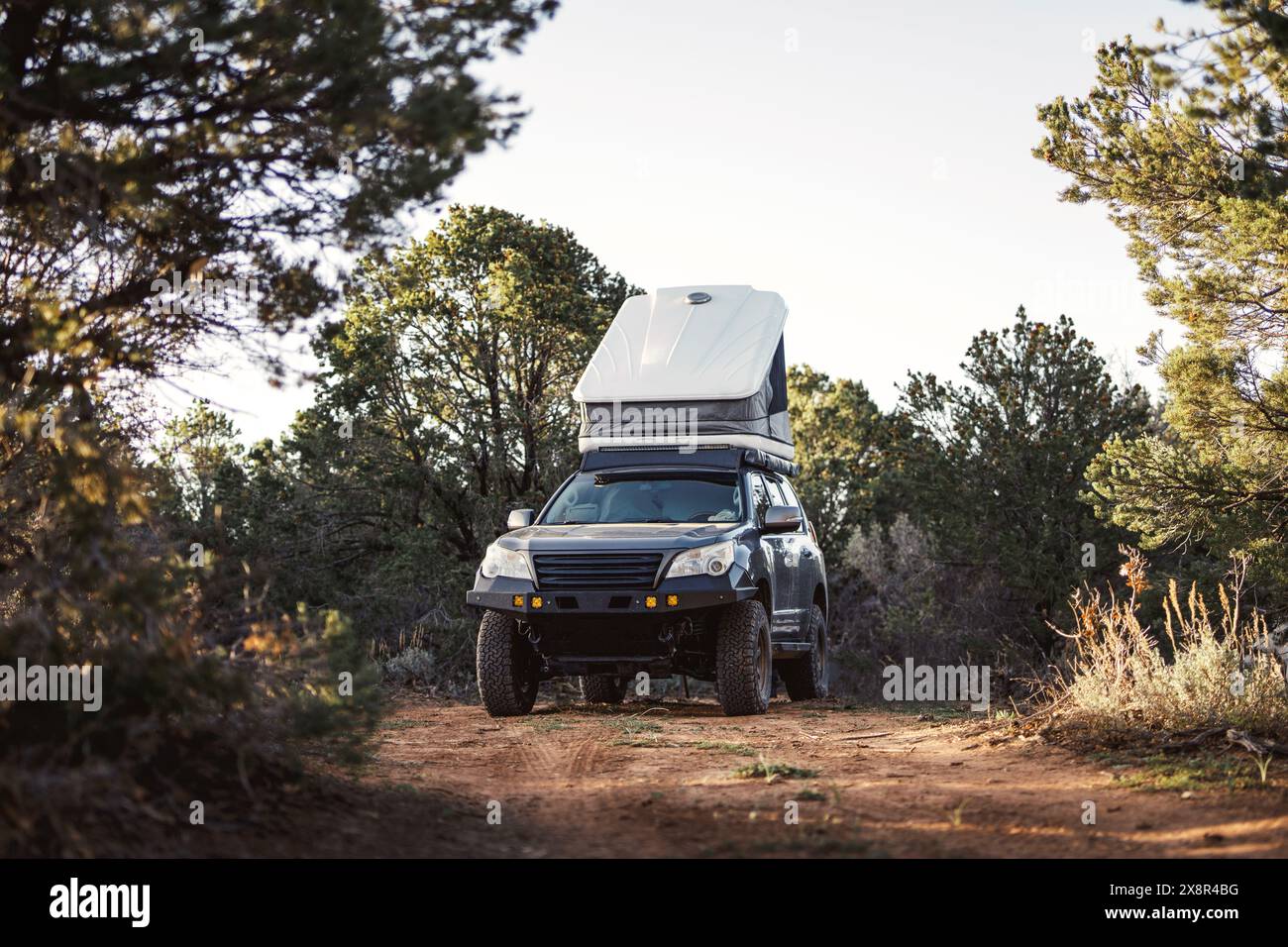 Vehicle With Roof Top Tent in Wooded Camp Site Stock Photo - Alamy