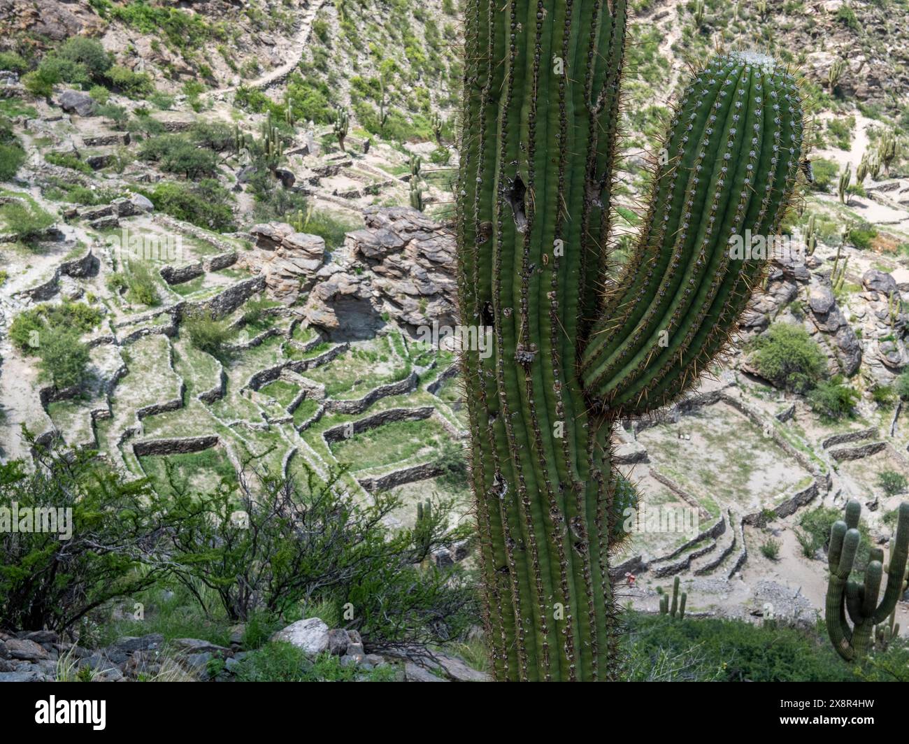 City in the desert hi-res stock photography and images - Alamy