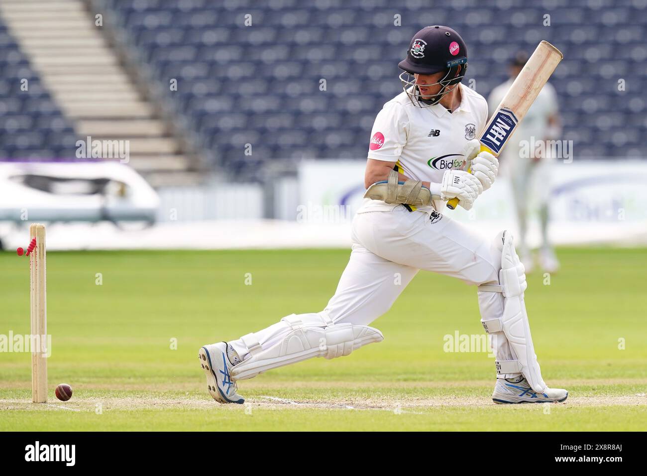 Bristol, UK, 27 May 2024. Gloucestershire's James Bracey is bowled by Derbyshire's Alex Thomson during the Vitality County Championship match between Gloucestershire and Derbyshire. Credit: Robbie Stephenson/Gloucestershire Cricket/Alamy Live News Stock Photo