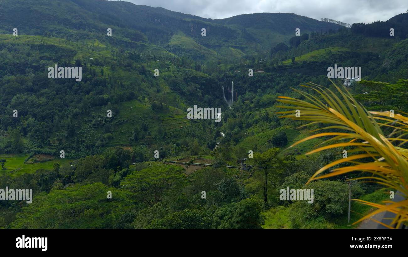 Wet tropics rainforests hi-res stock photography and images - Alamy