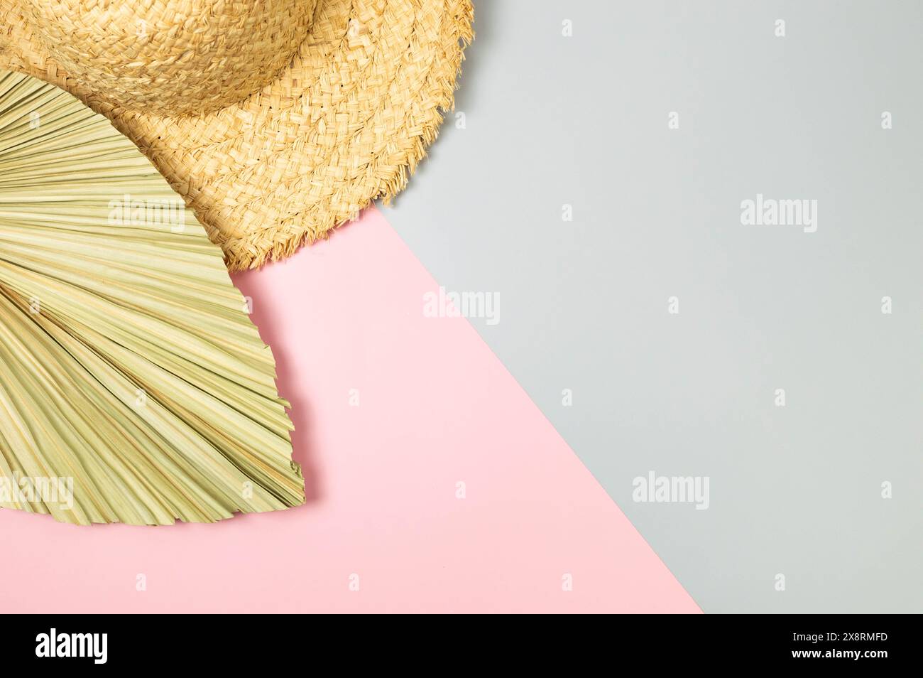 Top view of straw hat and dried palm leaf on colorful background ...