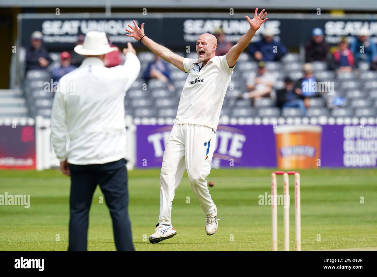 Bristol, UK, 27 May 2024. Derbyshire's Zak Chappell celebrates taking the wicket of Gloucestershire's Marchant de Lange during the Vitality County Championship match between Gloucestershire and Derbyshire. Credit: Robbie Stephenson/Gloucestershire Cricket/Alamy Live News Stock Photo