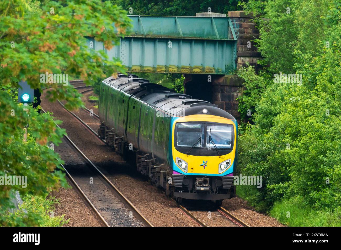 Trans Pennine Express train heading for Cleethorpes. Class 185. Stock Photo