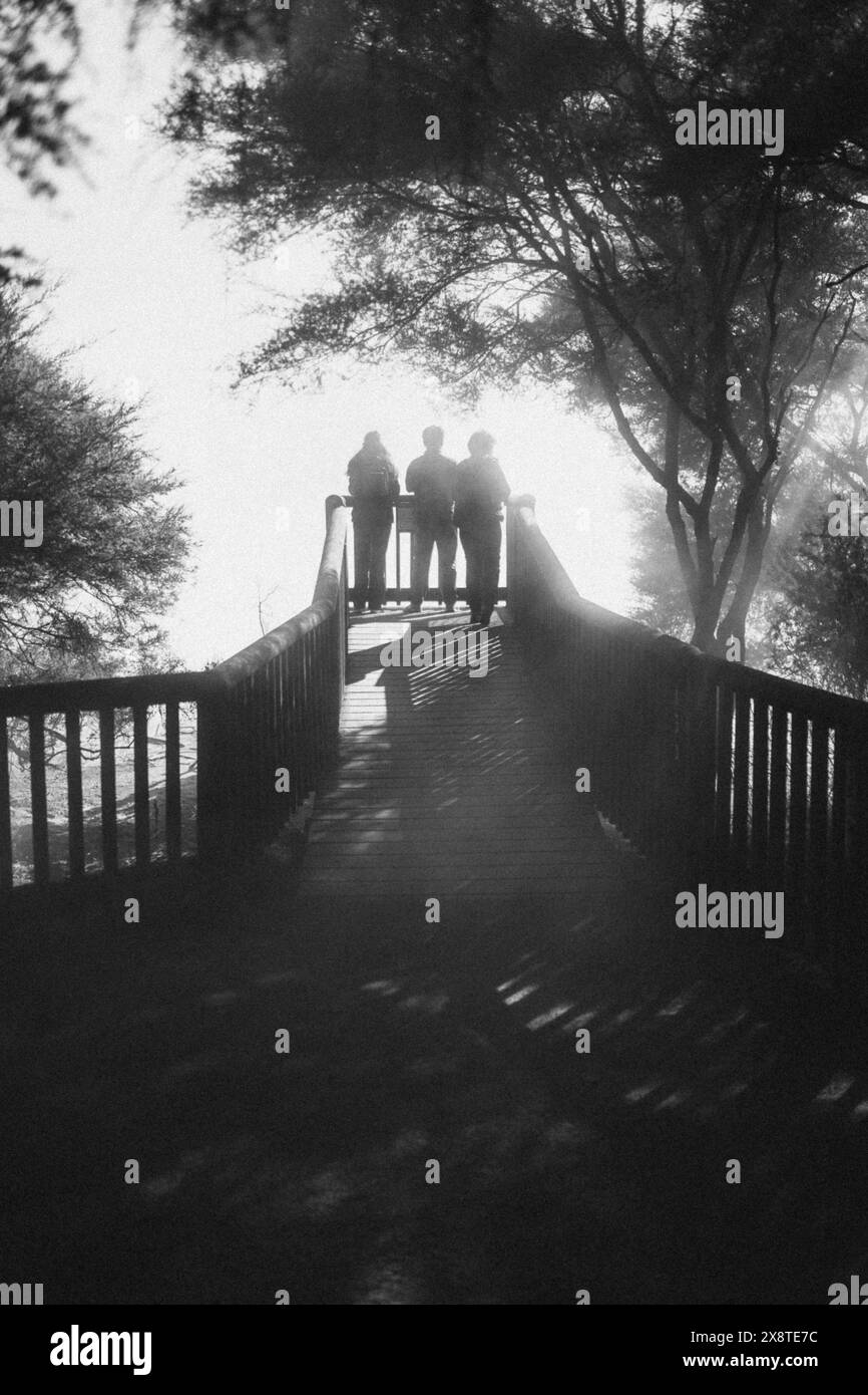Viewpoint of a sulphur spring in a park in Rotorua, New Zealand Stock