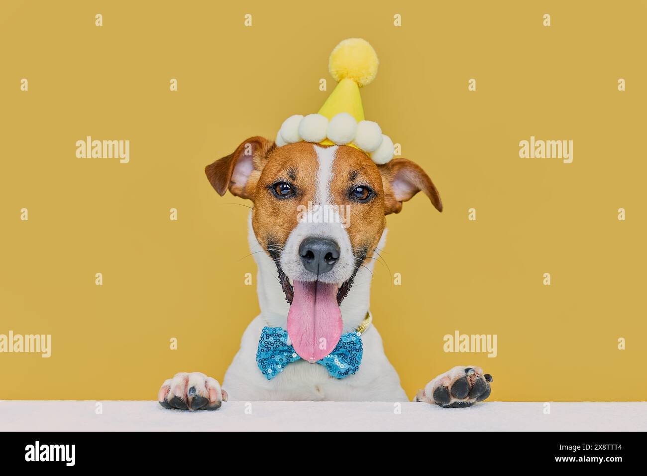 Ai Generativo. Jack Di Cucciolo Russell Con Cappello Di Compleanno Su Fondo Bianco Ritratto Un Cane Terrier Da Festa Sfondo Spazio 277815163
