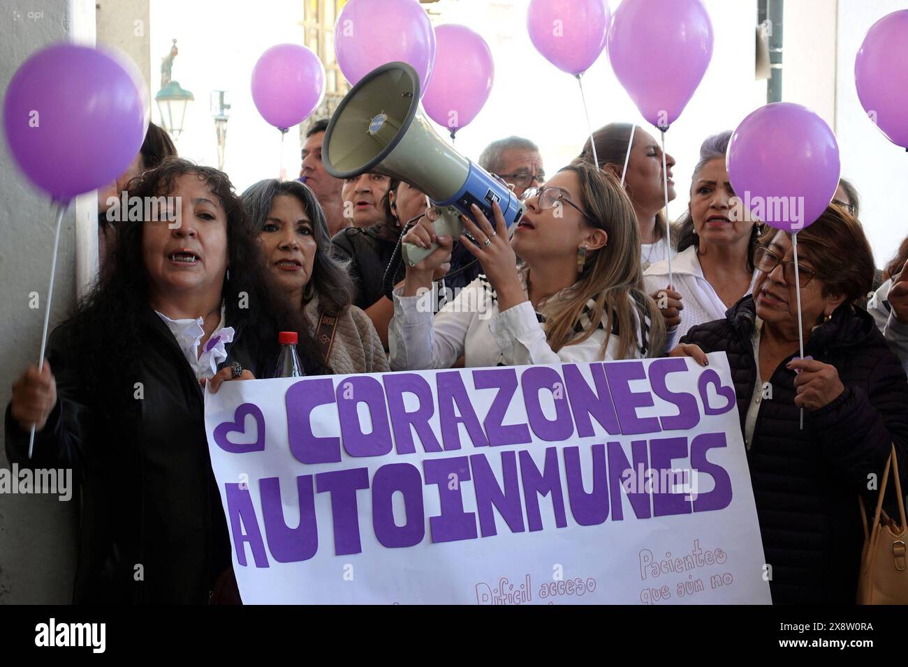 CUENCA PLANTON AUTOIMMUNE HEARTS Cuenca,Ecuador May 27, 2024 This Monday morning, May 27, a sit-in was held outside the government building in the historic center of Cuenca, protesting for health to raise their voices, for the various problems they face daily as patients at the Hospital JosÃ Carrasco Arteaga Among the most pressing problems we face are the patients, who have been a year without access to a biologic, At the moment 43 patients with autoimmune diseases have not been able to get the biologic Infliximab and Sekukimab, which is not available, The continuous lack of medicines in the Stock Photo