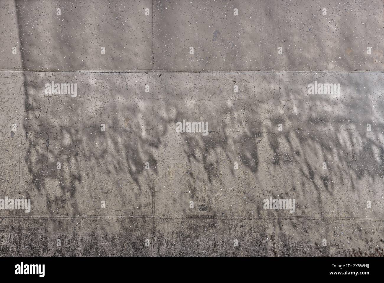 The presence in water of certain surfactant substances, such as soaps ...