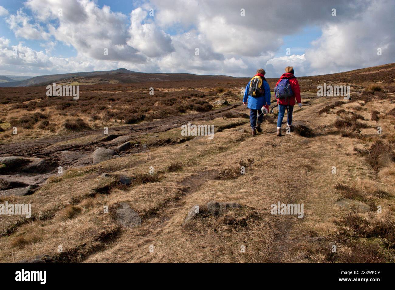 High Peak Estate, Whinstone Lee Fields, Derwent Valley, Peak District, Derbyshire, England Stock Photo