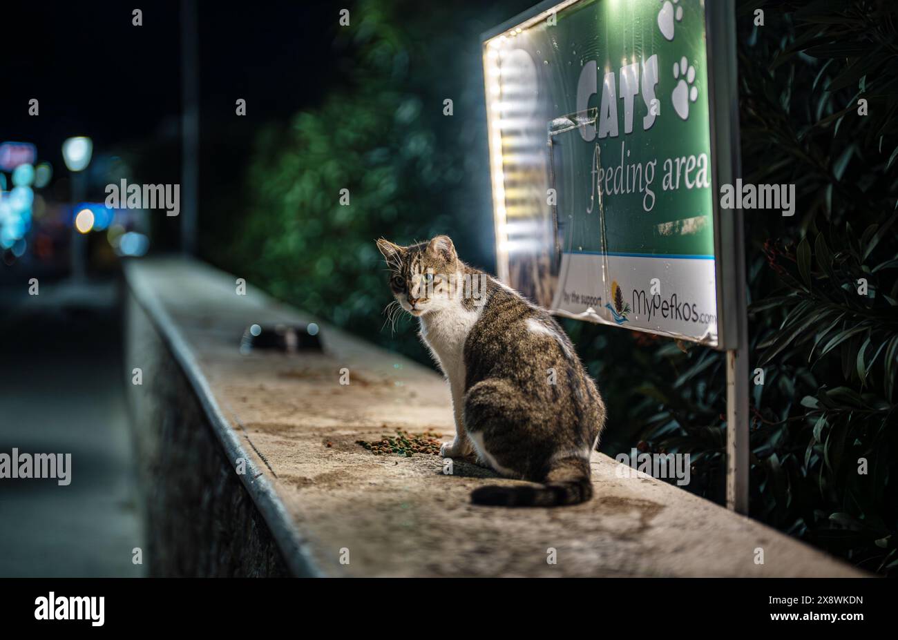Rhodes, Greece - 21.10.2023: Cats feeding area in Pefkos. Stock Photo