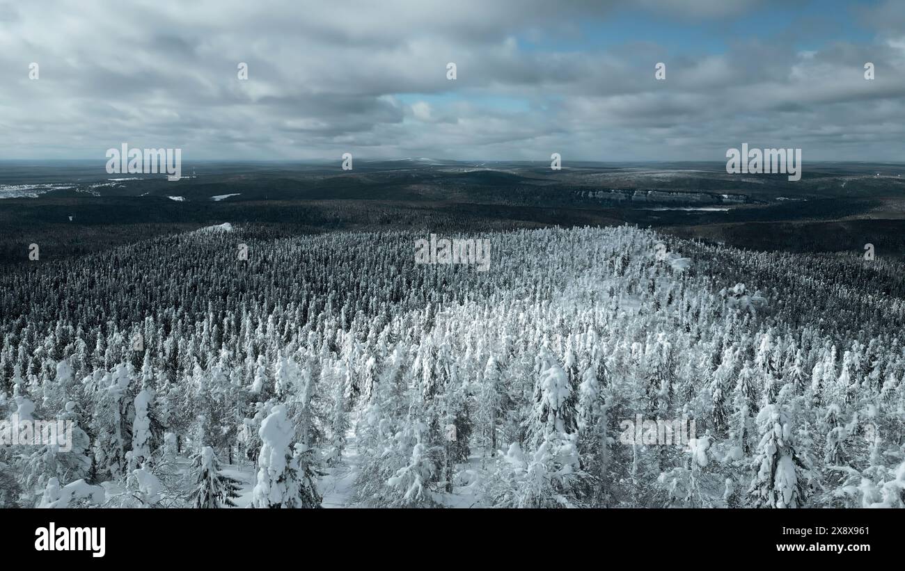 Slow motion aerial view of snowy trees in beautiful winter forest. Clip. Winter landscape in frozen mountains nature. Stock Photo
